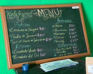 Menu at Koala Express in Chihuahua