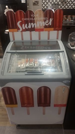 To vegan ice lollies one is a double chocolate ice cream and the second is a chocolate coated orange lolly at Hotel Chocolat in Cardiff