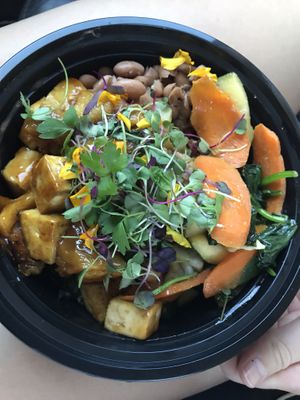 Plant Protein Bowl (Teriyaki Tofu, Carrots, Greens, Pinto Beans, Rice, & Grilled Pineapple) at Protein Plants Cafe in Orange