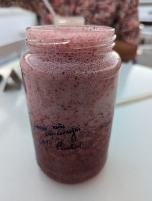  at Roof Burger Lab in Rhodes