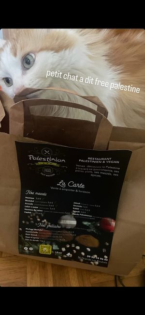  at Palestinian in Roubaix