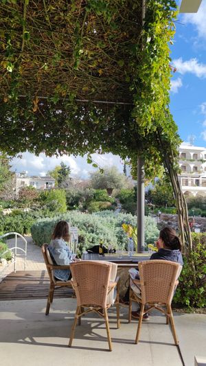  at Polis Herb Garden in Paphos