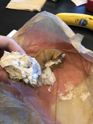 Cinnamon walnut tofu  at New York City Bagel & Coffee House in Astoria