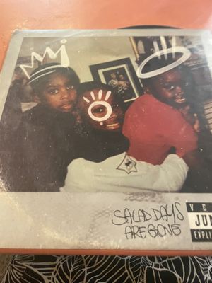 Front cover of LP  at Vegan Junkies in Lisbon