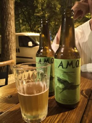 Craft ale (brewed one street away from the restaurant) at Vegan Junkies in Lisbon
