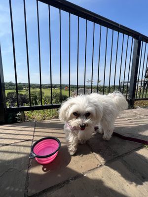   at Royal Hotel in Ross-on-wye