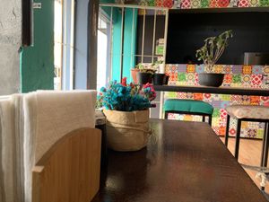 Trágame tierra ;) at Trágame Tierra in Puebla