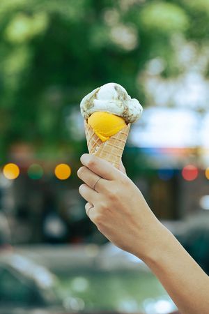 Copyright Gonzalo Baro at Rosa Canina Ice Cream – Hufelandstraße in Berlin