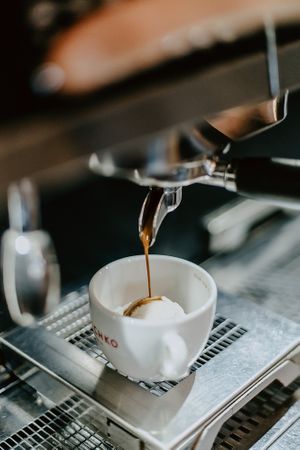 Copyright Kerstin Musl at Rosa Canina Ice Cream – Hufelandstraße in Berlin