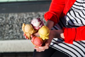 Copyright Marc Waldow at Rosa Canina Ice Cream – Hufelandstraße in Berlin