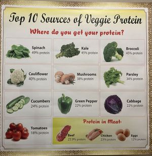 I’m more equipped for the “how do get your protein” question now 😂  at West End Vegan Restaurant in West End