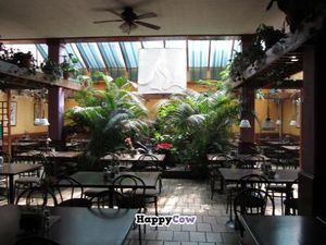 interior at Nirvana in Mexico City