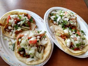Jackfruit and Mock Chik'n Tacos at India Sweets and Spices in Culver City