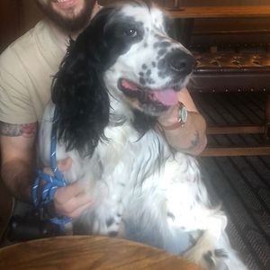 Pup friendly too!  at Head of Steam in Durham