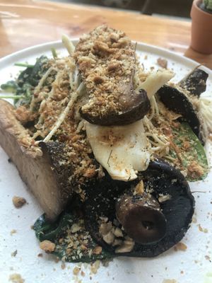 Mushroom toast with truffle oil  at Little Lotus Cafe in Hobart