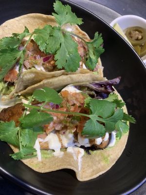 Mung bean and hemp seed tacos  at Little Lotus Cafe in Hobart