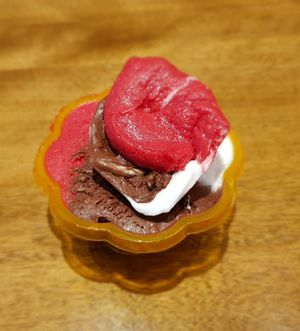 Sorbet framboise, coco et choco-coco at Havre aux Glaces in Montreal