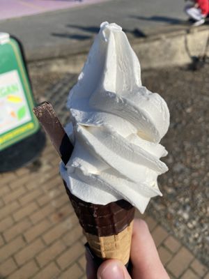 Medium Vegan Whippy with chocolate cone and chocolate stick  at v360 in Brighton