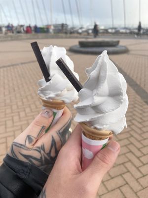 Vegan whippys   at v360 in Brighton