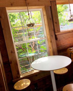 Cozy atmosphere  at Vegan Food House in Dallas