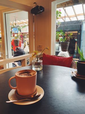 Vibing   at Veggie Vibe Cafe in Blackrock