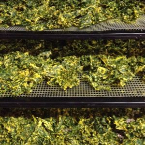 spicy kale chips at Light Body Wholistic Clinic and Organic Earth Juice Bar in Bridgetown