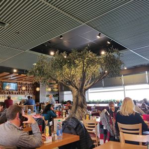 Mezza tree at DTW - Mezza in Romulus