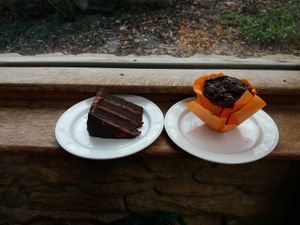 Giant (5 inch high) choc orange muffin plus big slab (also GF) chocolate raspberry cake at St John's Garden Centre in Barnstaple