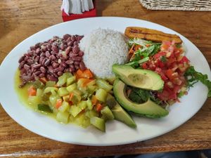  at La Amistad in Monteverde