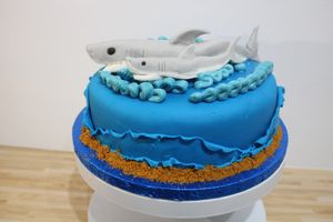 Shark Cake at Untainted Tastes in Broadstairs