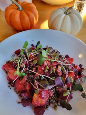Harvest quinoa/rice bowl at Press on Monmouth in Newport