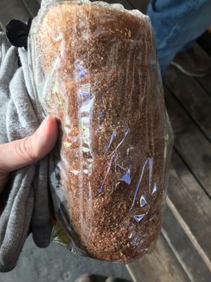 Addictive chimney cake with cinnamon  at Kurtoskalacs The Chimney Cake Shop in Budapest