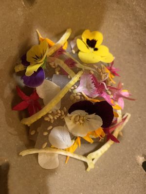   at Zicon in Hiroshima