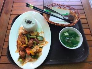 BBQ false chicken with vegetables at Loving Vegan in Da Nang