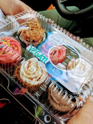Cupcakes  at Sweet Craft in Brownsville