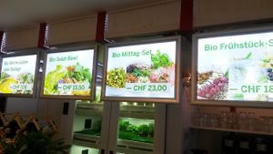 Breakfast, salad and lunch menu at Adoravita in Zug