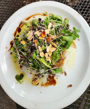 Avocado Toast with Microgreens! at SunRise Cafe in Hilton Head Island