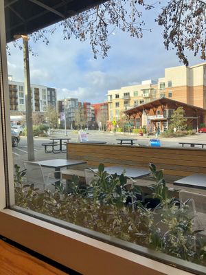 View from bar window seating  at Sano Cafe in Mercer Island