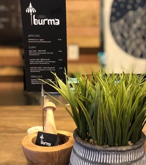 Almost all dishes can be made vegan or vegetarian with tofu or veggies instead of meat, still with a great flavor. at Urban Burma in Aurora