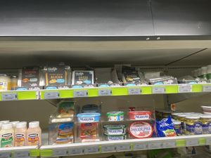 Violife  at 10-11 in Reykjavik