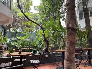 The courtyard  at Bong Bonlai at YK Art House in Phnom Penh
