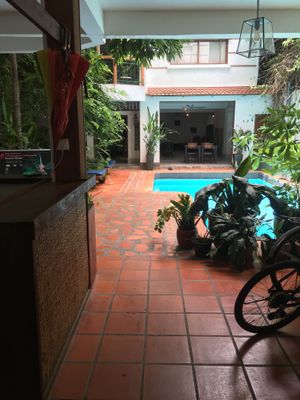 Hidden jungle! at Bong Bonlai at YK Art House in Phnom Penh