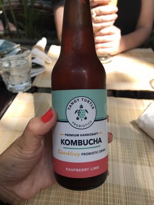 Raspberry Lime Kombucha  at Bong Bonlai at YK Art House in Phnom Penh