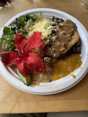 Arena pallena with Mushroom and vegan cheese at La Fonda Latina in Kuranda
