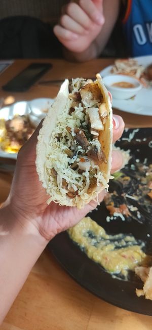 Vegan taco at La Fonda Latina in Kuranda