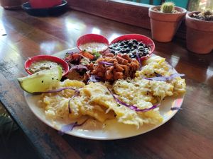  at La Fonda Latina in Kuranda