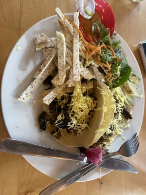   at La Fonda Latina in Kuranda