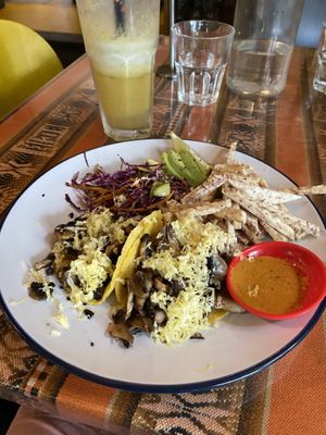 Taco lunch   at La Fonda Latina in Kuranda