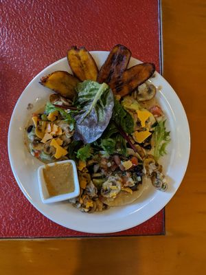 Vegan mushroom tacos at La Fonda Latina in Kuranda
