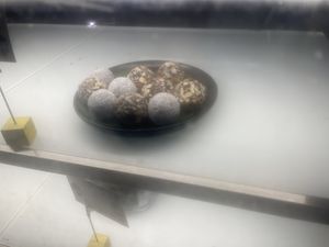 Desser   at Bella by Sage in Ubud